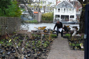 tuin in Leiden