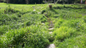 wadi met water onderin en een pad van stapstenen