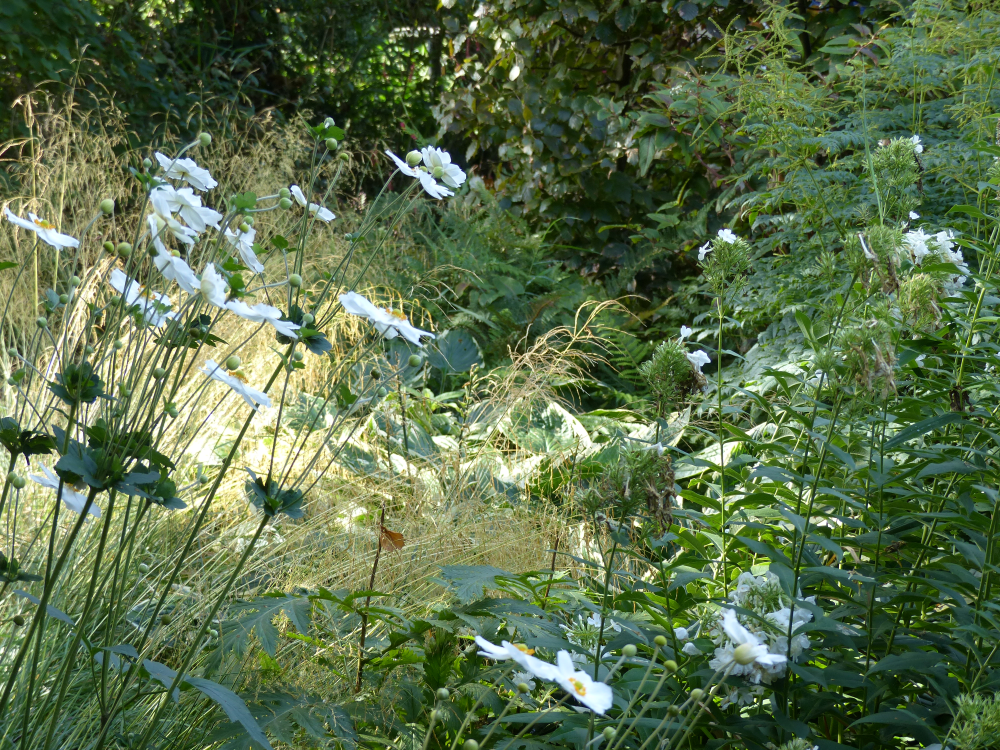 Trends voor de tuin in 2026