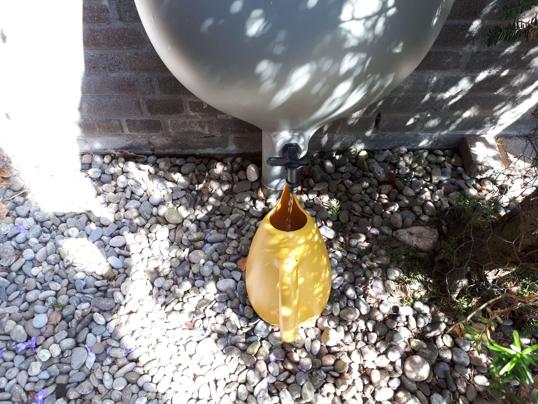 Workshop: Vergroenen van de tuin, bij Buurthuis AquaRijn